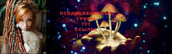 дмт Коряжма