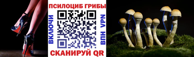 сайты даркнета какой сайт  Сураж  Псилоцибиновые грибы ЛСД 