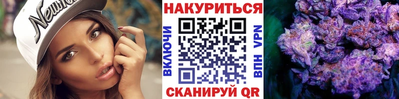 гидра ссылка  Сураж  Каннабис сатива 